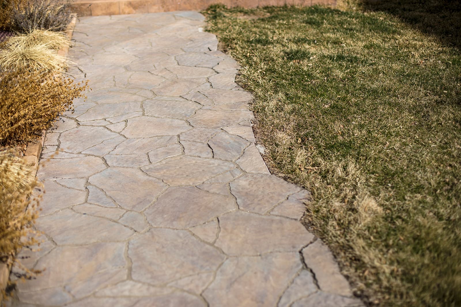 Custom interlocking paver design with decorative borders in Longmont, Colorado