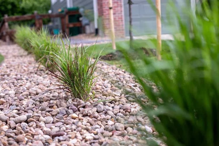 Ornamental grasses and smooth river-rock mulch along planting beds, low-water texture at the property edge.